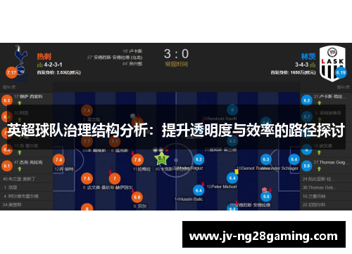 英超球队治理结构分析：提升透明度与效率的路径探讨